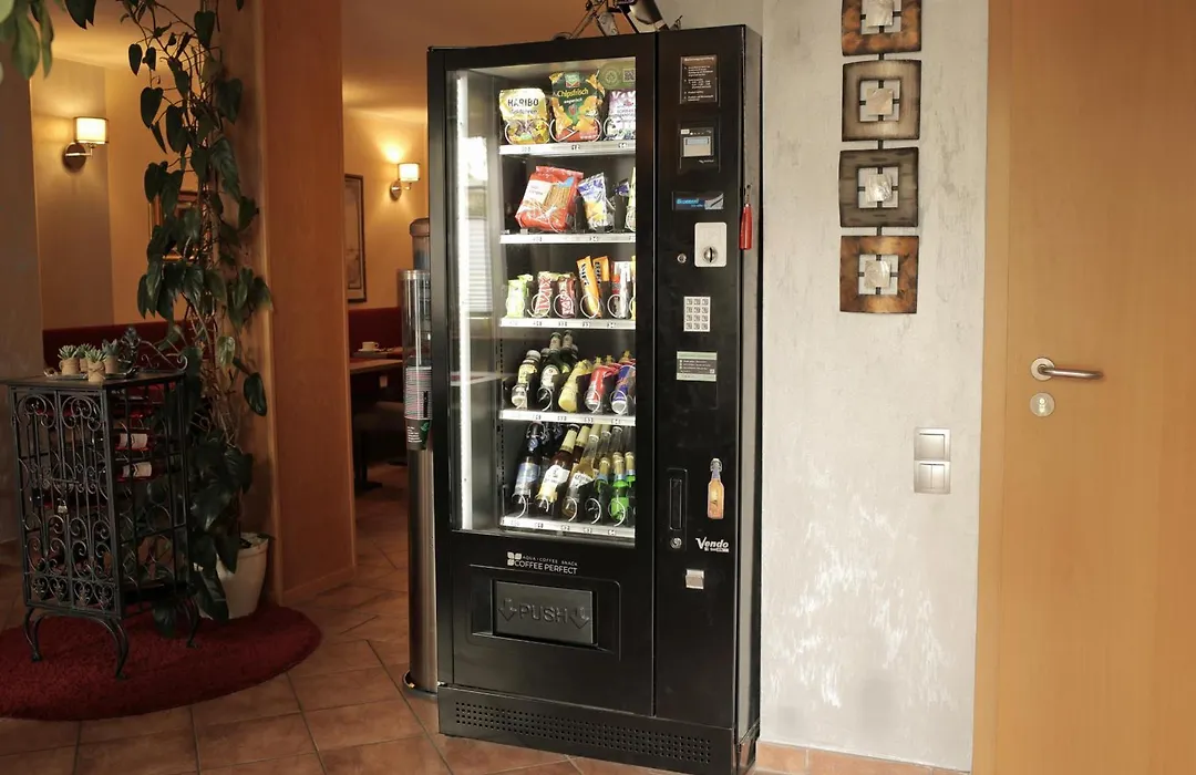 Hotel Zur Sonne-1